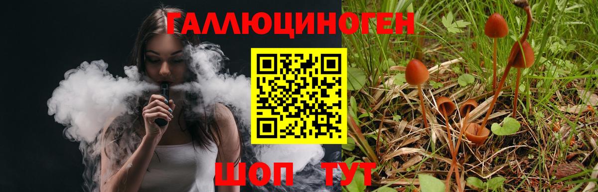 Красноярск  Псилоцибиновые грибы прущие грибы  Вход с VPN 
