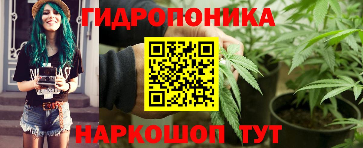 Красноярск  Бошки марихуана AK-47  Конопля OG Kush  Канабис VHQ  Вход с VPN 